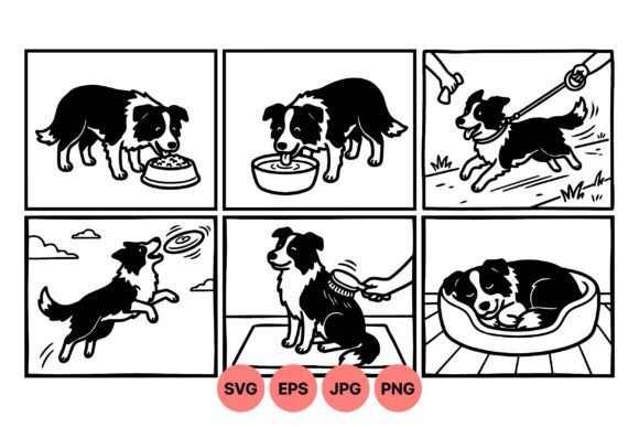 Border Collie Daily Life Clipart Review